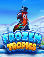 ตู้ สล็อต สิงโต slot joker 2020 เกมใหม่สุดปังจาก Pragmatic Play