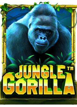 สูตร บา คา ร่า 1324 ที่มือใหม่ควรรู้ก่อนลองเล่น